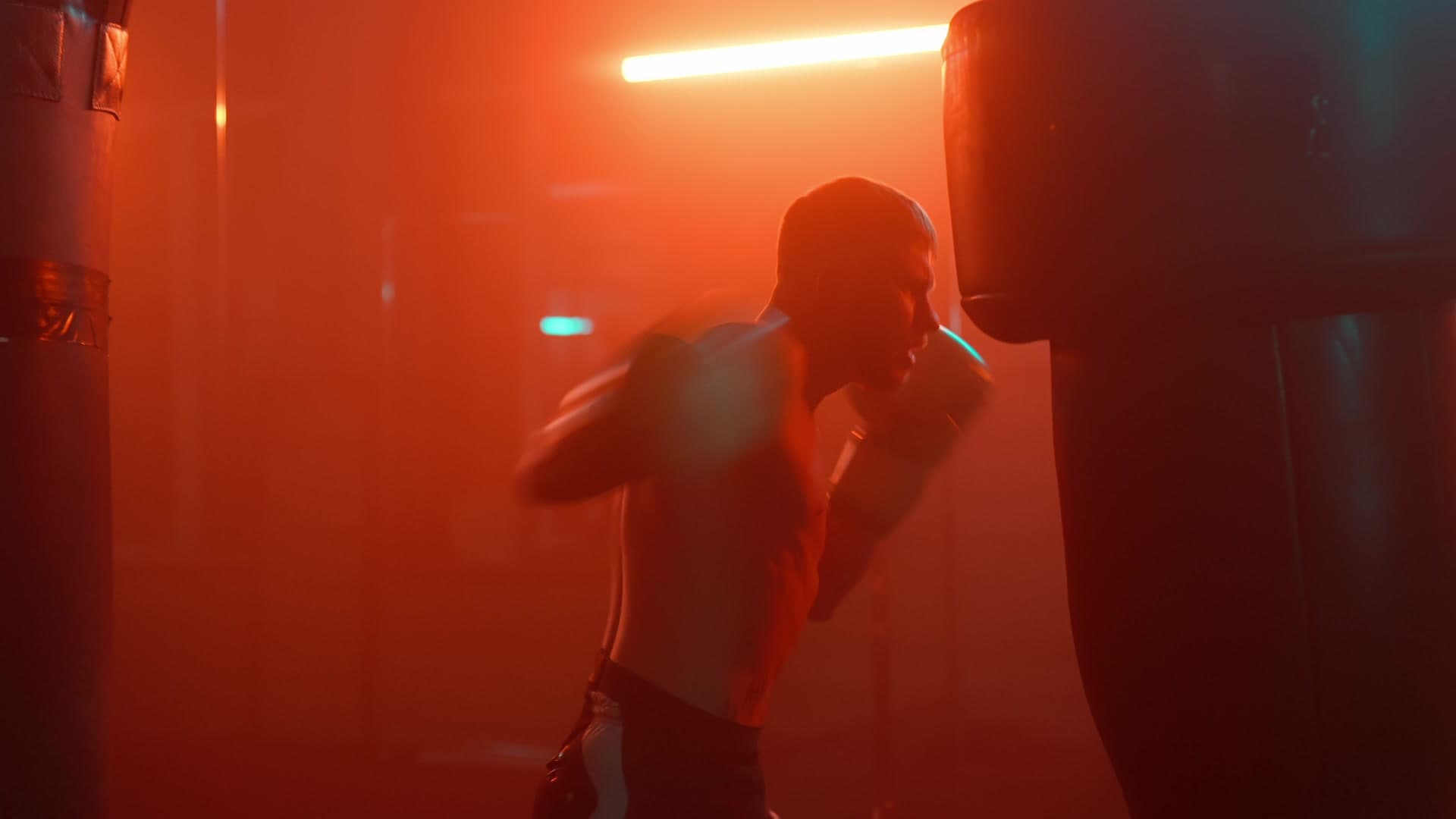 Exterior or interior of SHOCK BOXING GYM