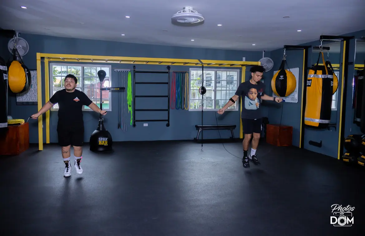 Alpha Boxing Club logo