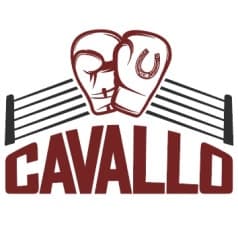 Exterior or interior of 까발로복싱짐(Cavallo Boxing Gym)