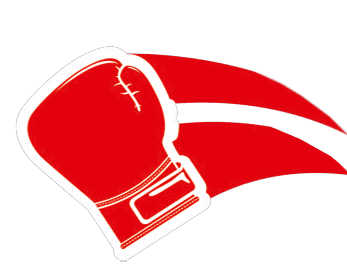 İstanbul Boks logo