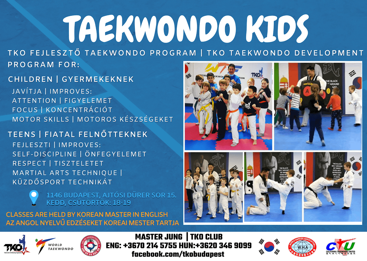 Taekwondo and Kickboxing Organization (TKO) logo