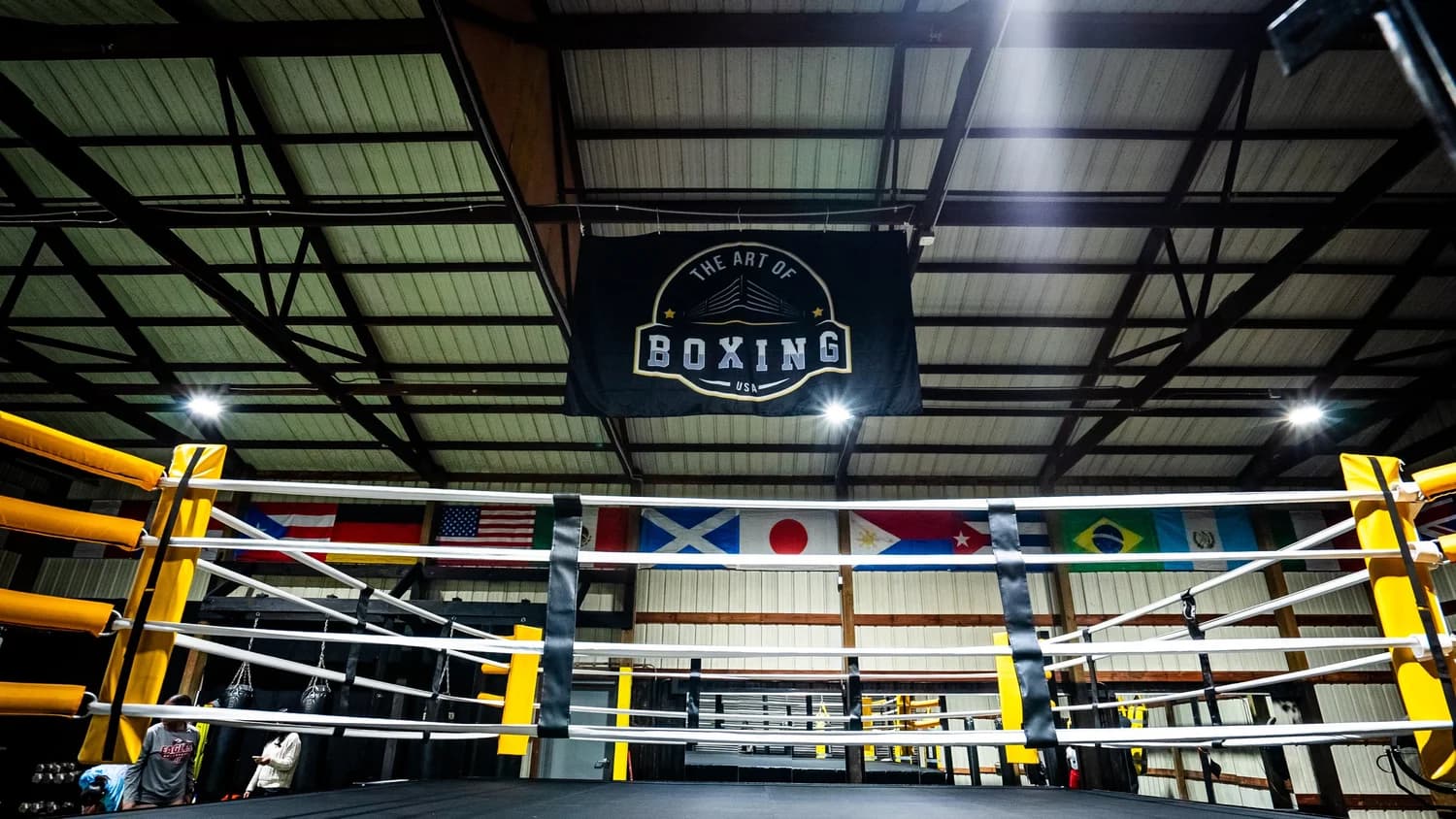 Exterior or interior of Art of Boxing USA