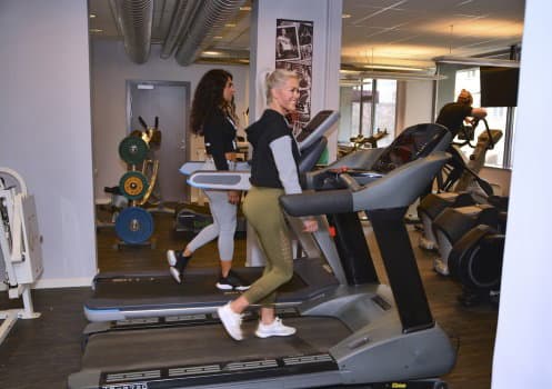 Exterior or interior of Imperia Gym