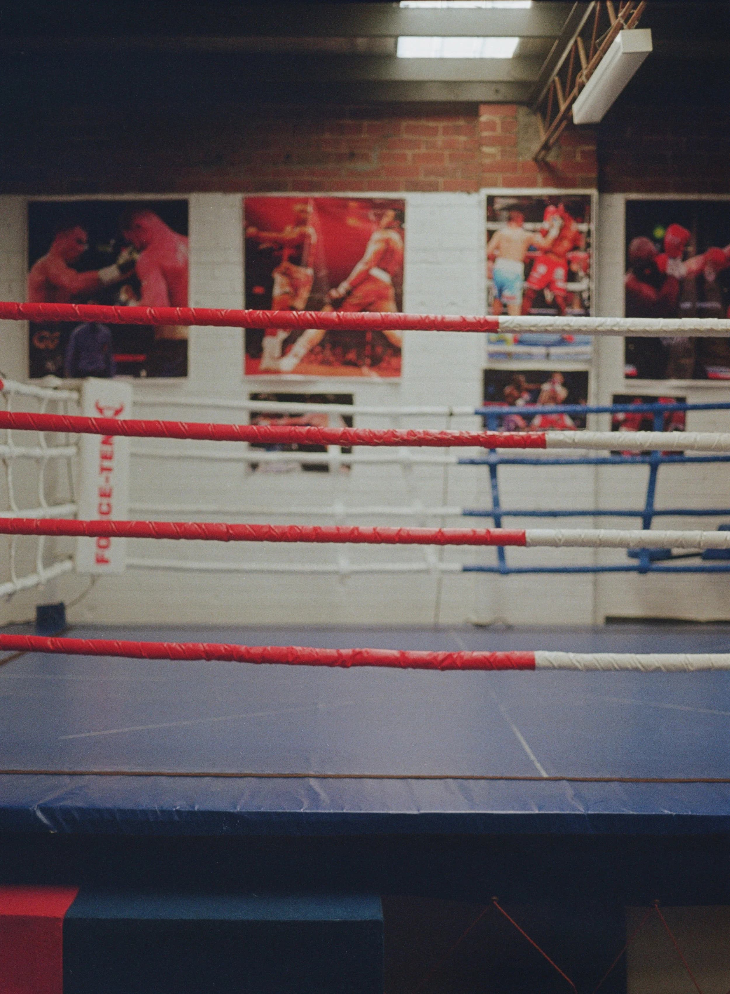 Altius Boxing Gym logo