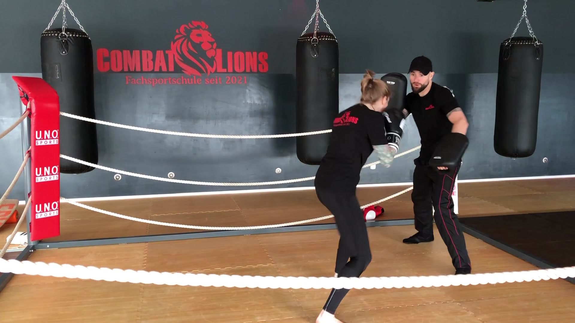 Exterior or interior of Boxen Combat Lions