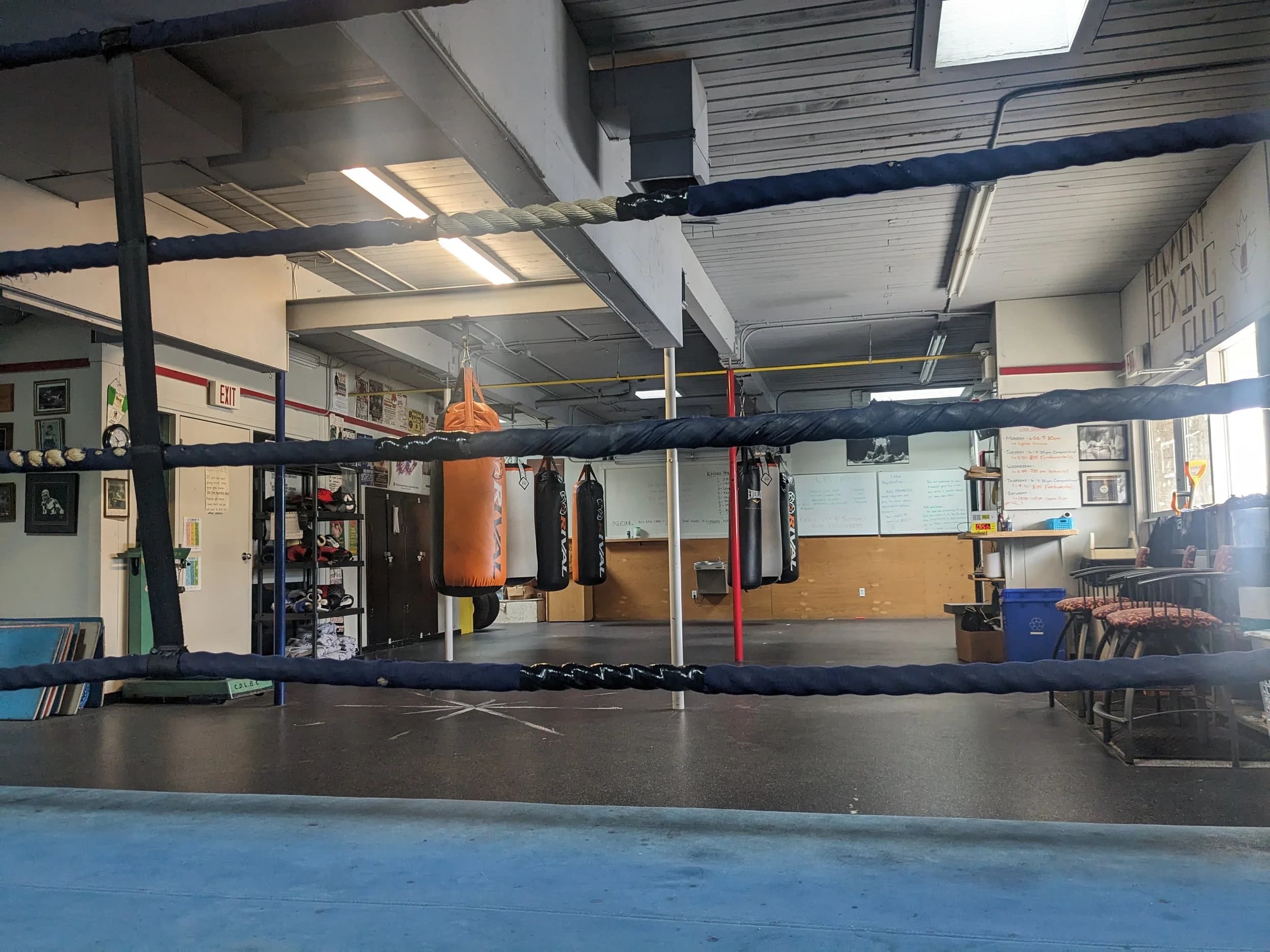 Exterior or interior of Bowmont Boxing Club