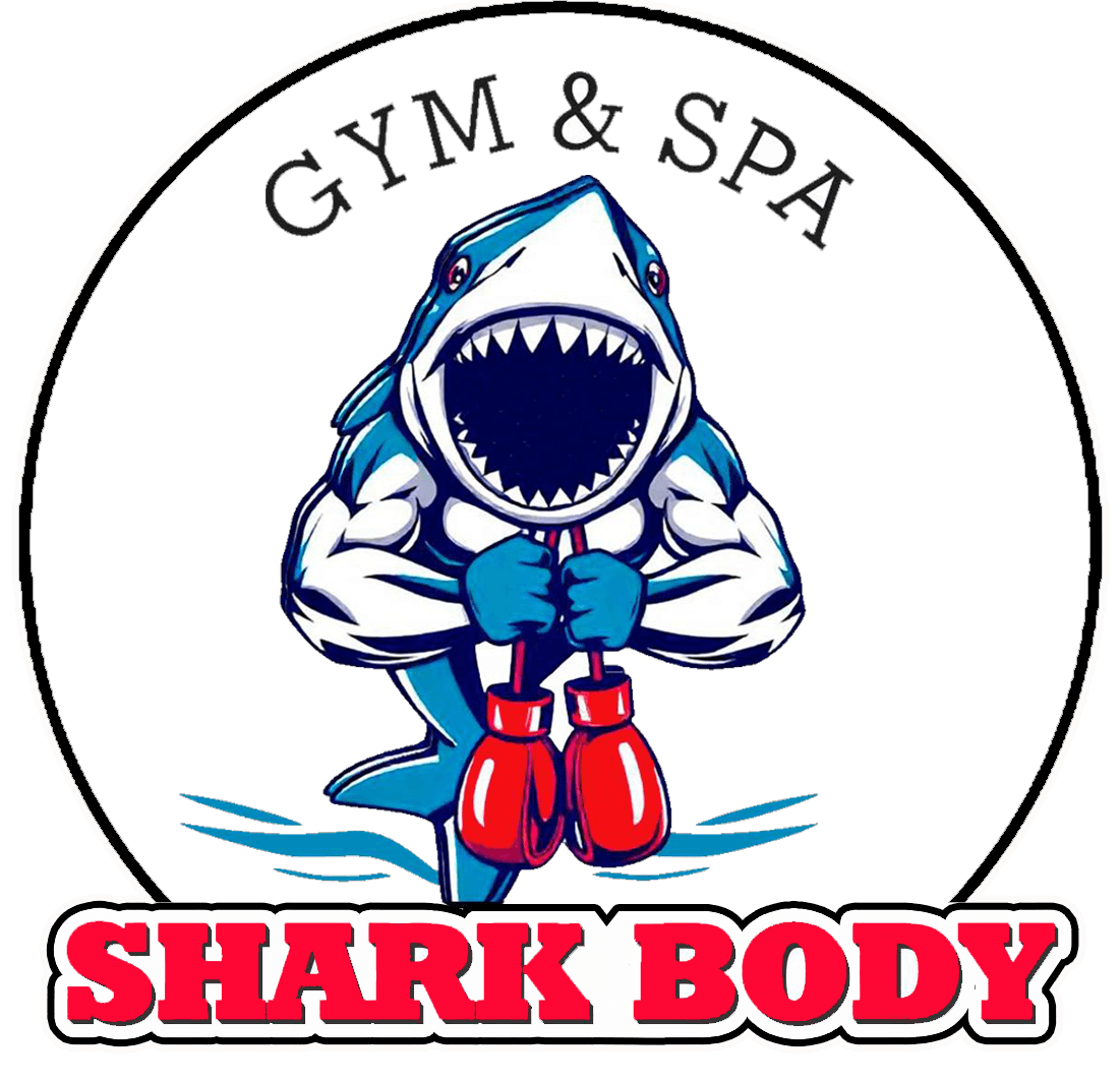 Shark body gym logo
