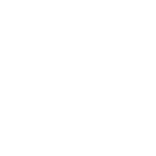 Bowes Boxing logo