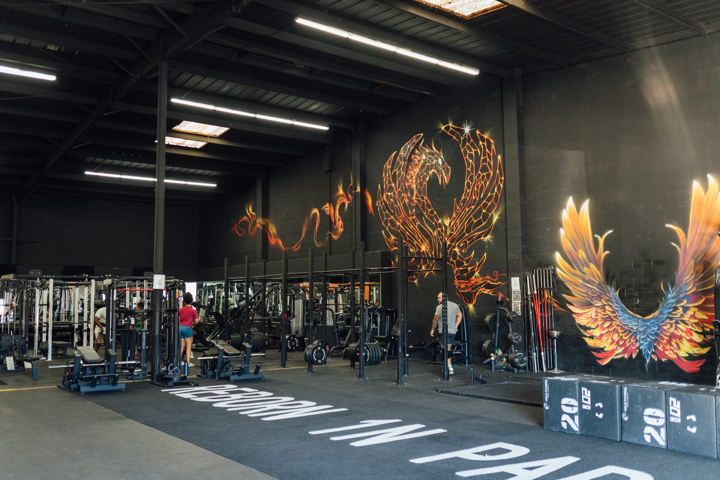 Exterior or interior of R1PFITNESS