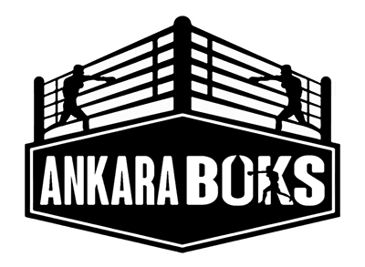 Ankara Boks Sinpaş Altınoran logo