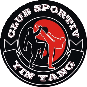 C.S. YIN-YANG ACADEMY KICKBOXING CT logo