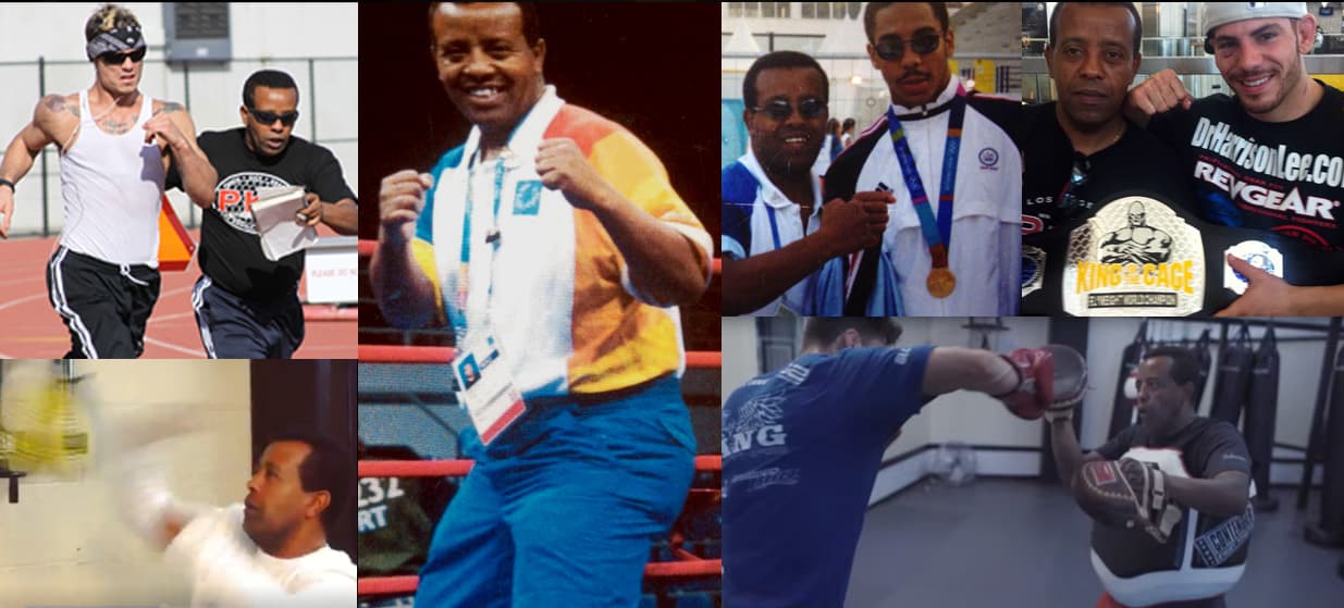 Exterior or interior of seb boxing