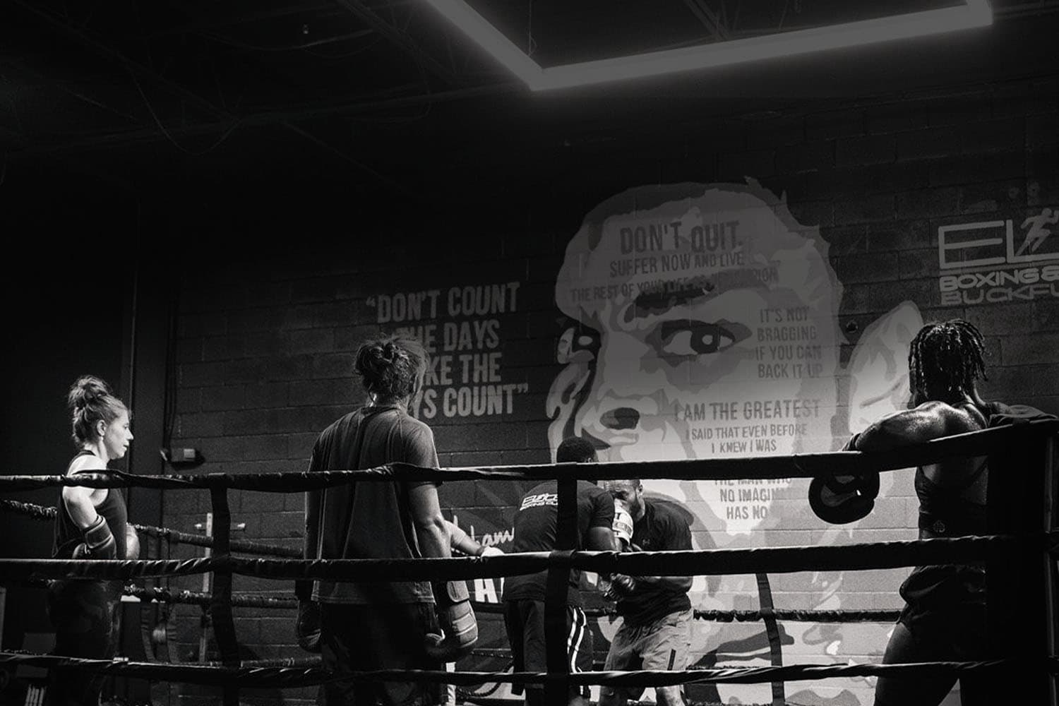 Elite Boxing & Fitness Gym logo