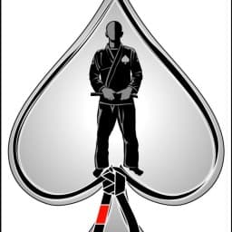ACE MMA & FITNESS logo