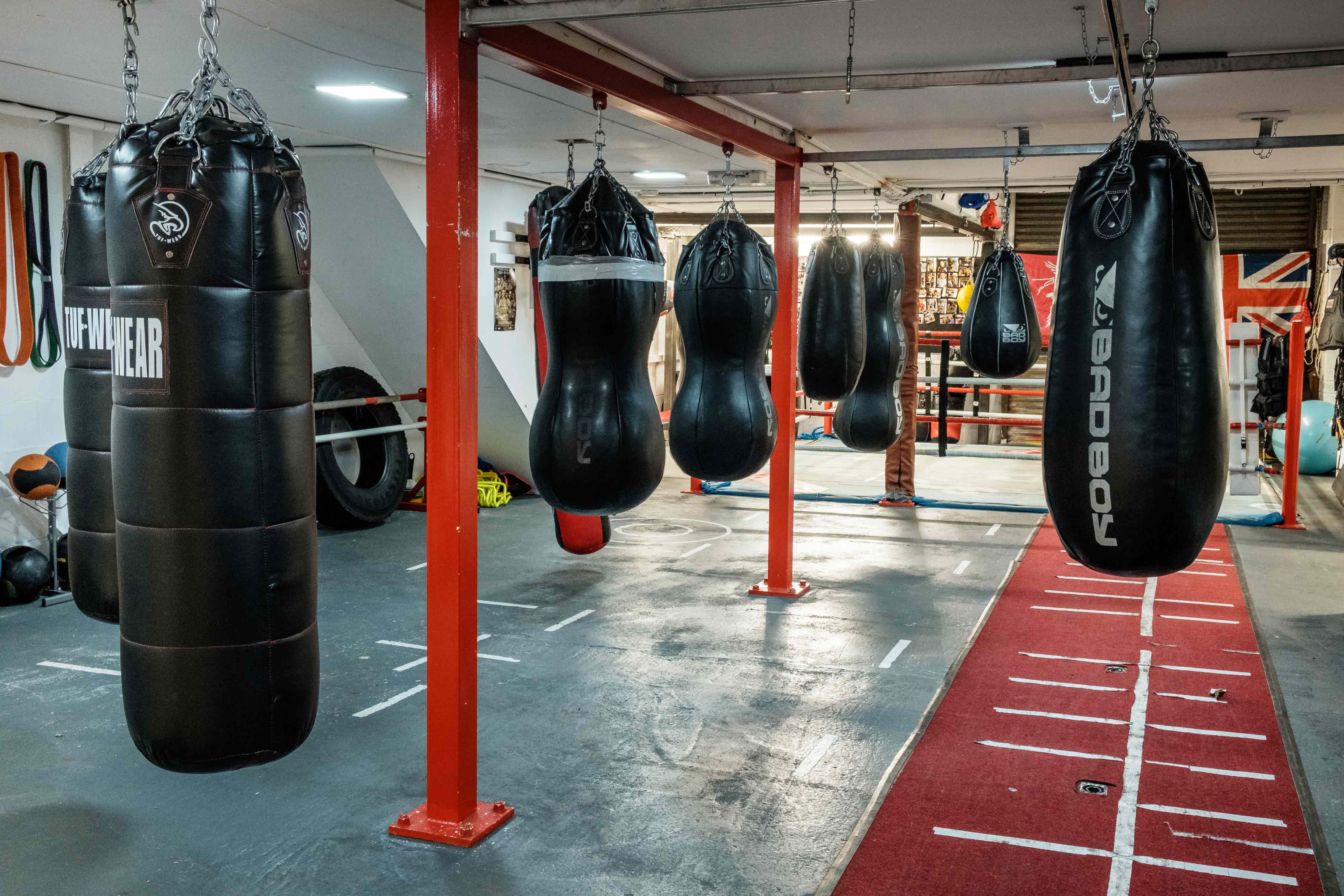 Alliance Boxing Academy logo