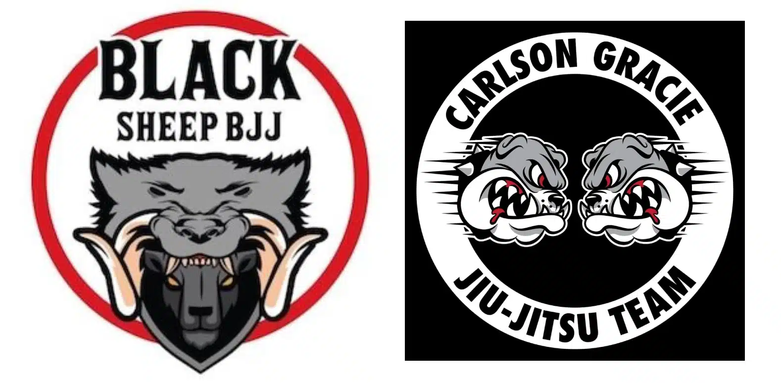 Exterior or interior of Black Sheep BJJ/Carlson Gracie Jiu Jitsu El Paso