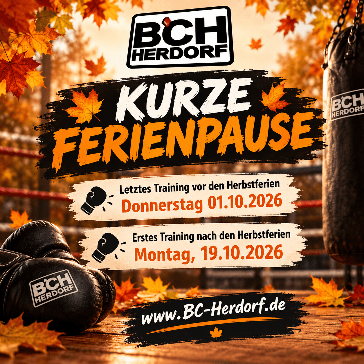 Exterior or interior of Boxclub Herdorf e. V.
