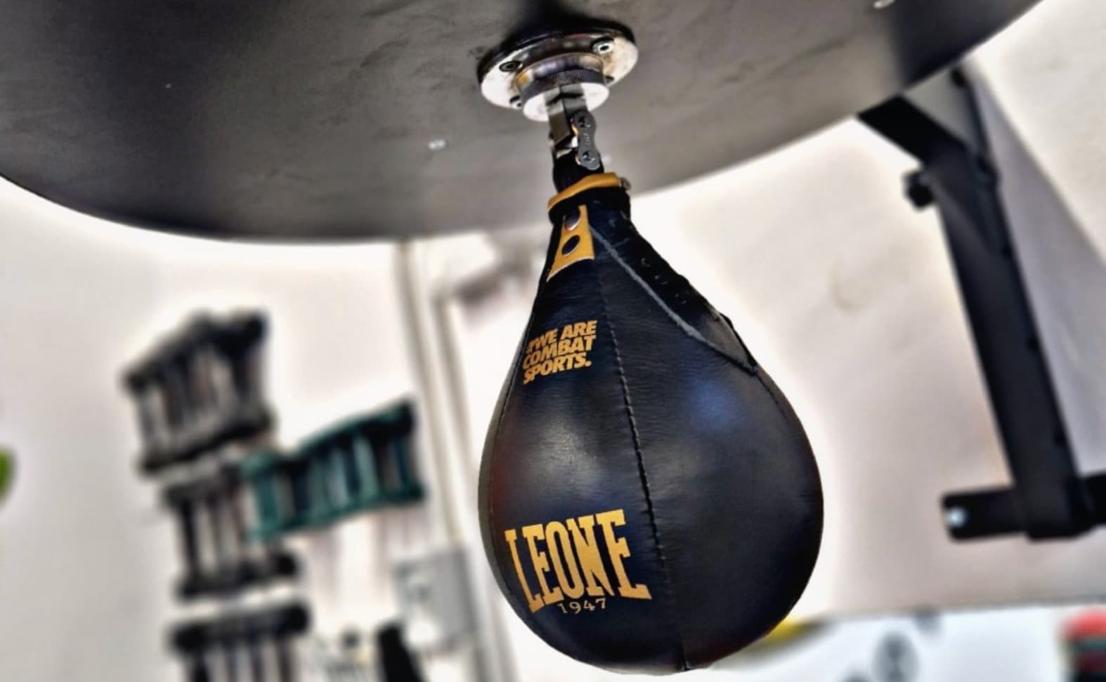 Exterior or interior of Boxing Club Tortona