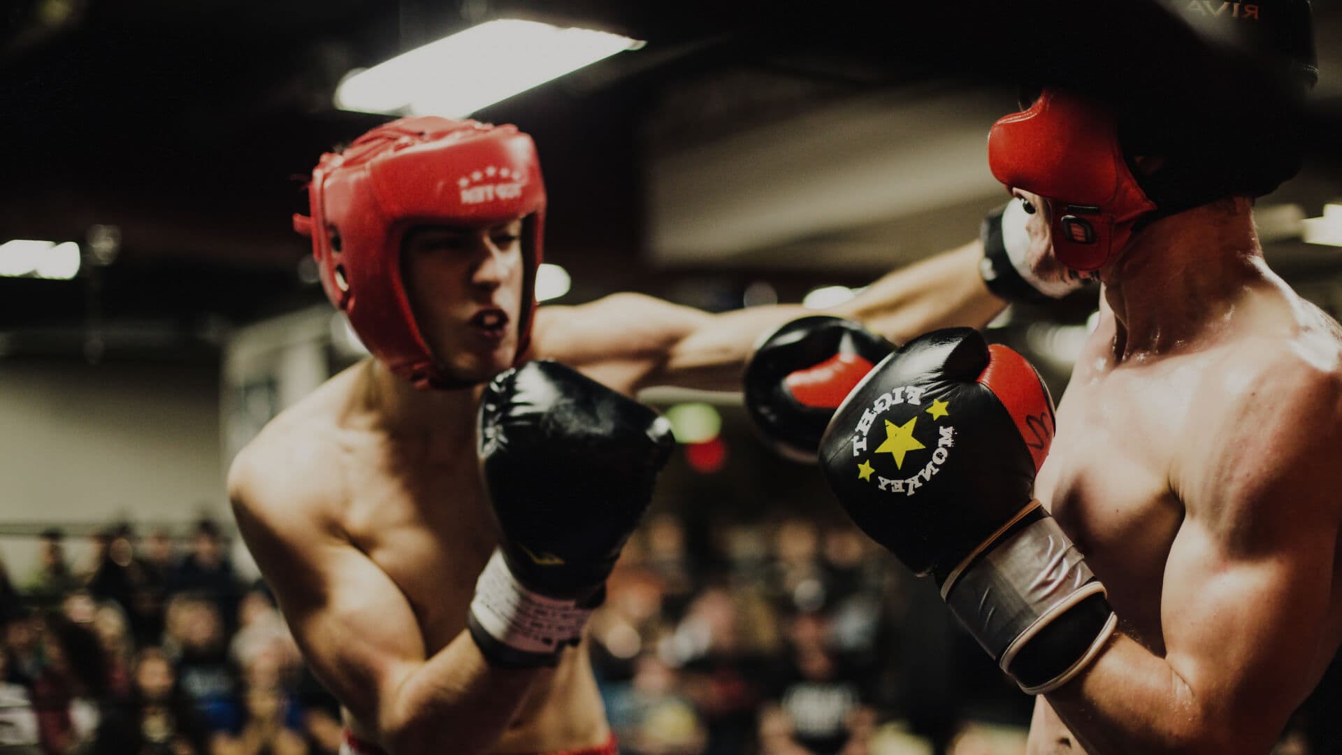 Exterior or interior of Boxing kempen