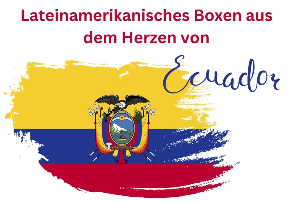 Exterior or interior of Boxschule Culcay