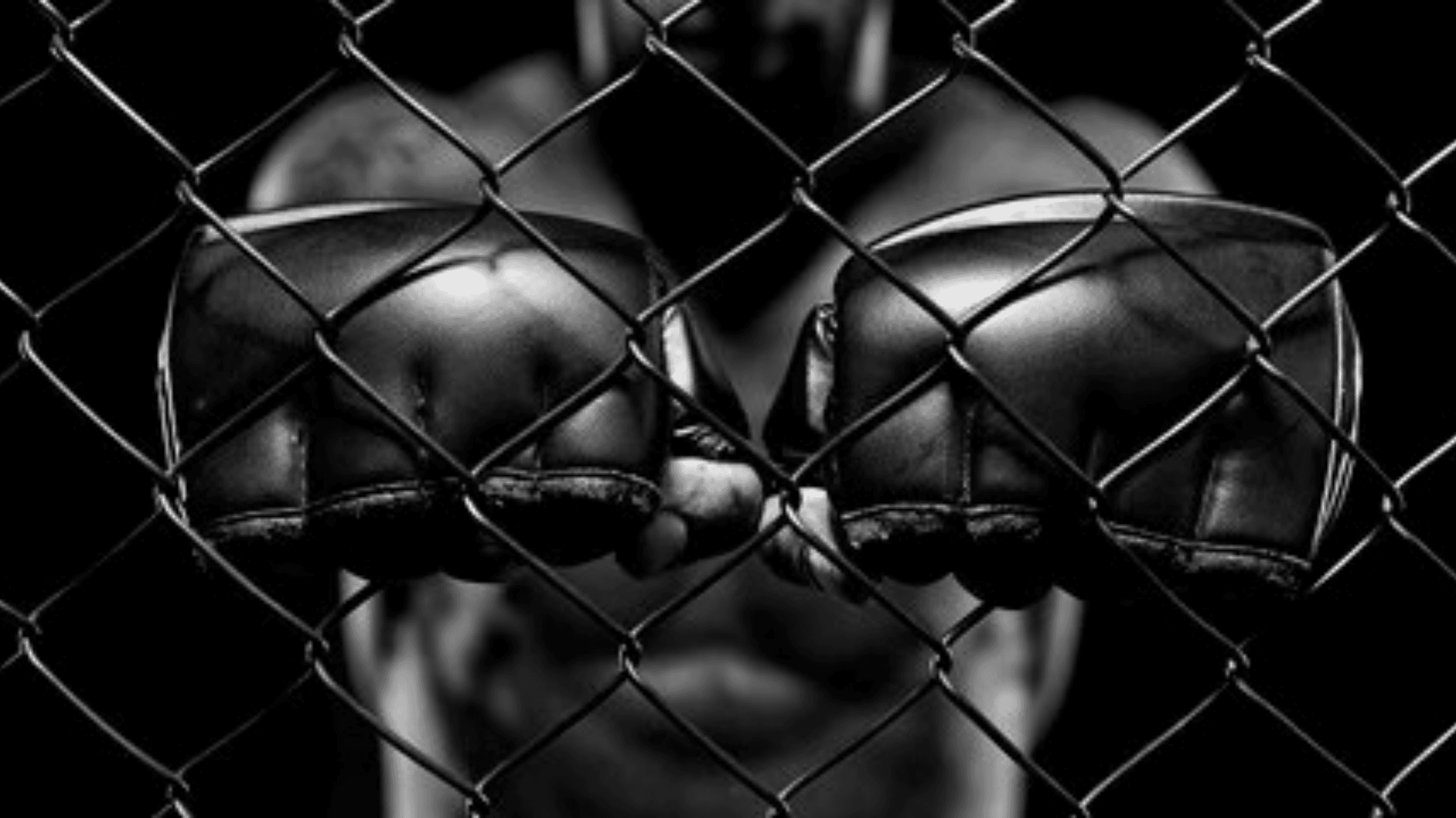 Exterior or interior of DOG FIGHT MMA