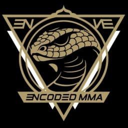 Encoded MMA logo