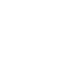 Five Stars Boxing Nice Est logo