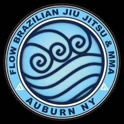 Exterior or interior of Flow BJJ and MMA