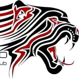 Impacto Beloit Mixed Martial Arts Academy logo