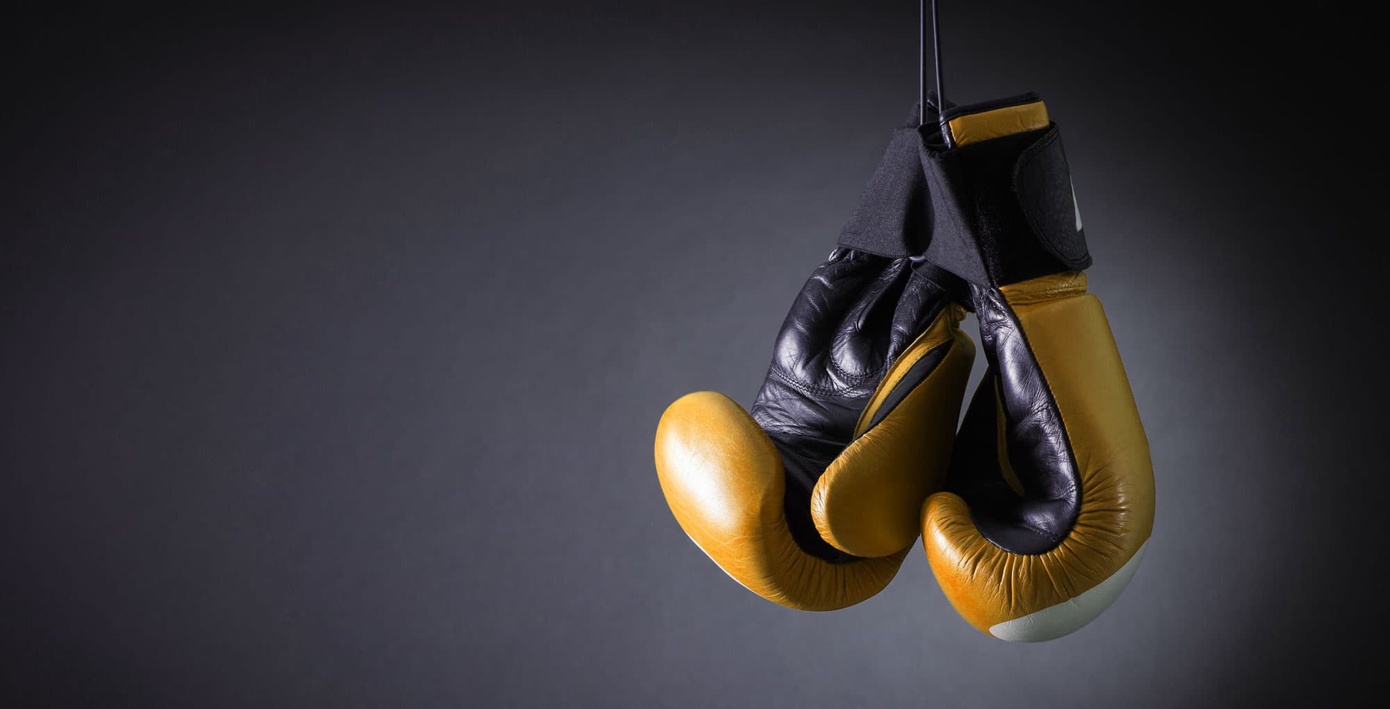 Exterior or interior of Insane Boxing Academy