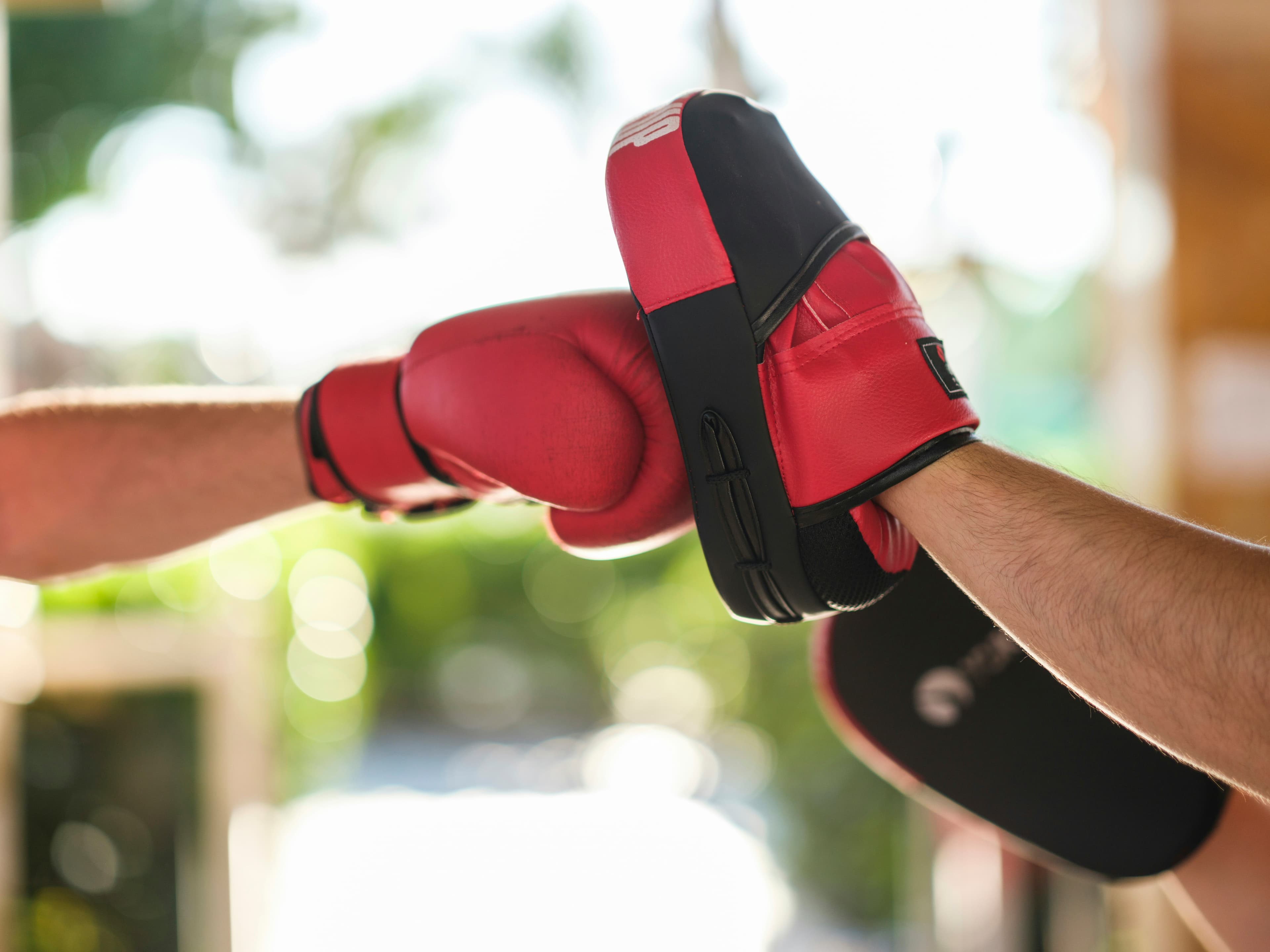 Exterior or interior of Iron Jungle Boxing Gym