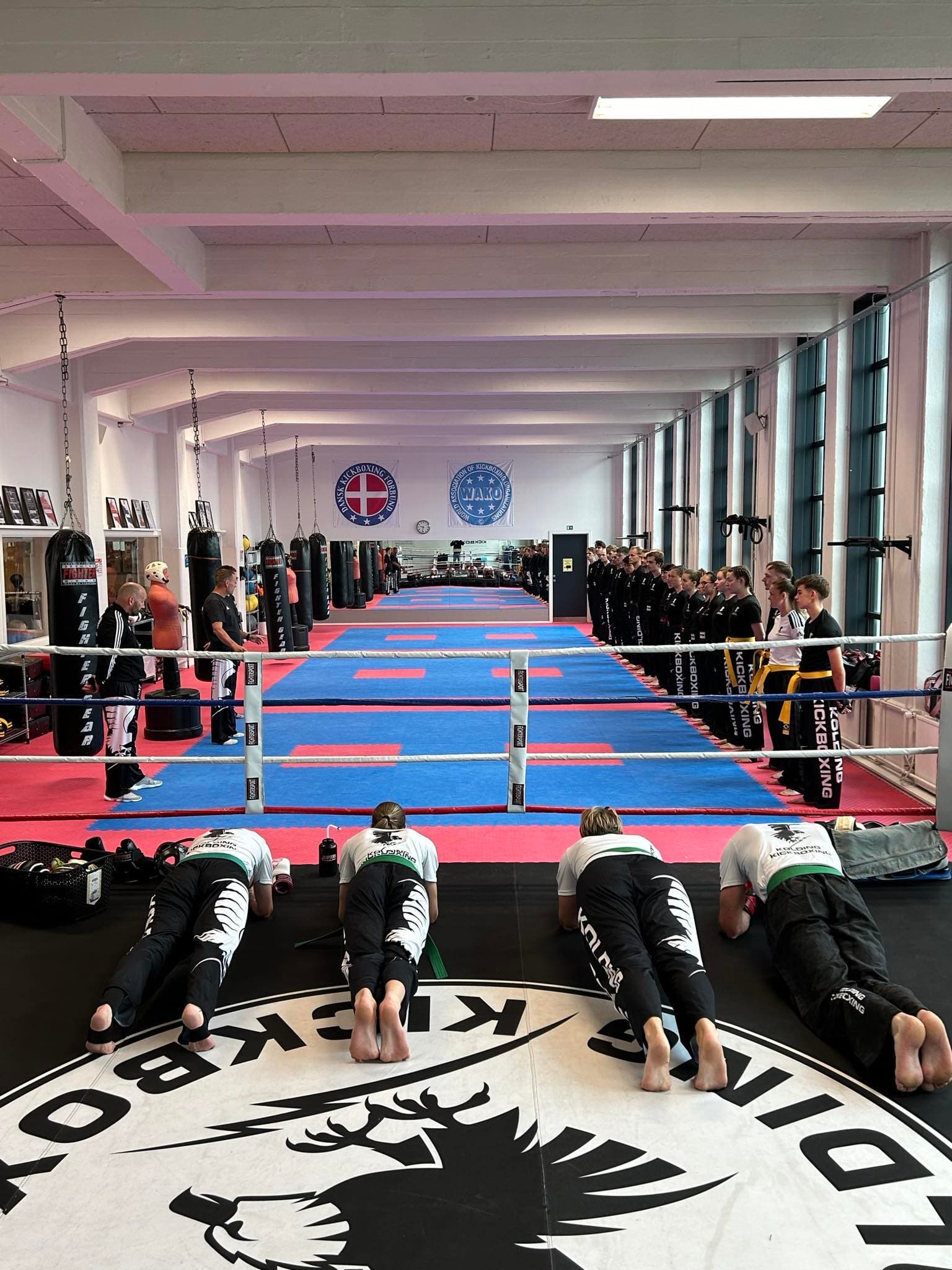 Exterior or interior of Kolding Kung Fu & Kickboxing