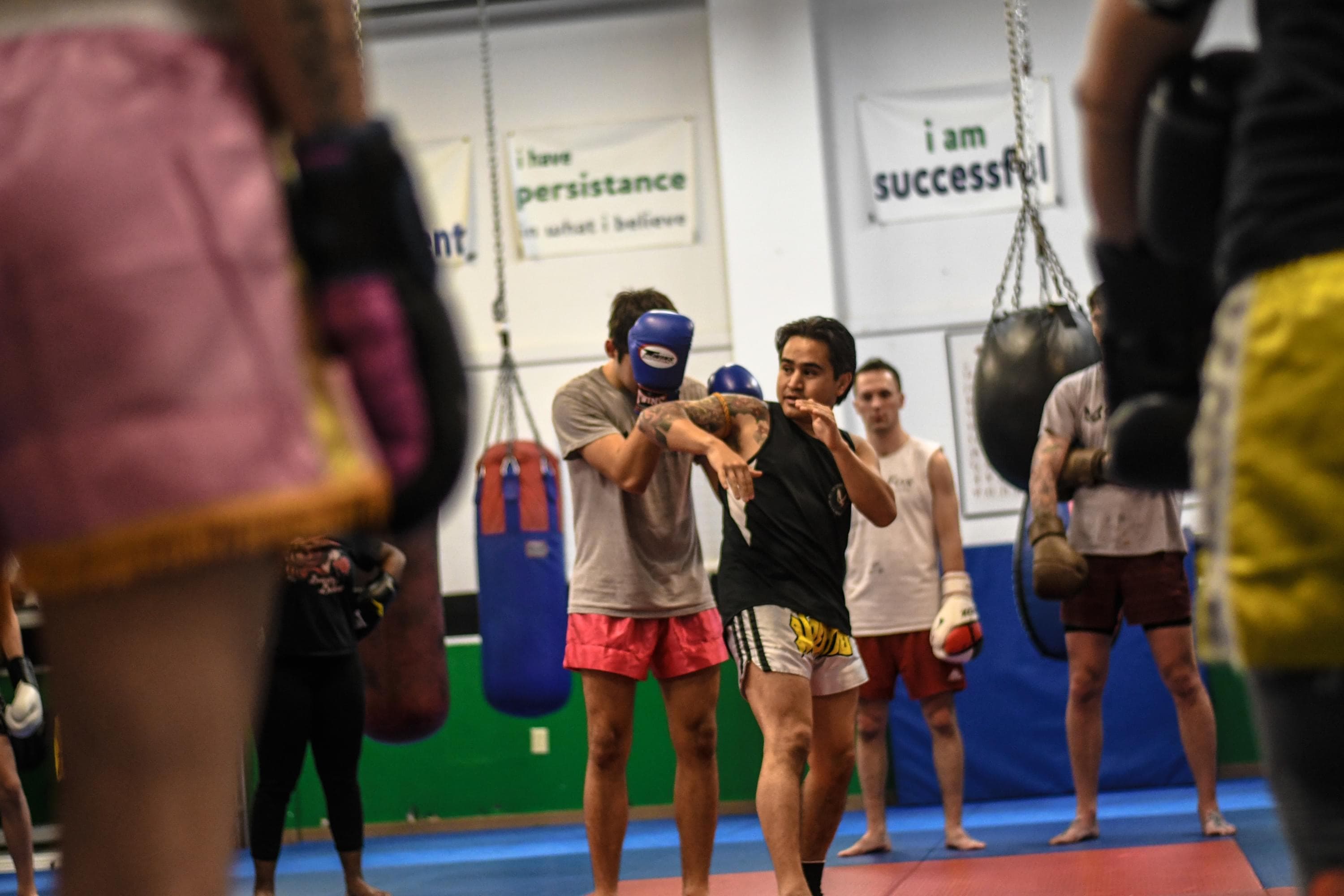 Exterior or interior of Outfox MMA