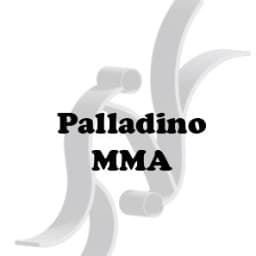 Exterior or interior of Palladino MMA
