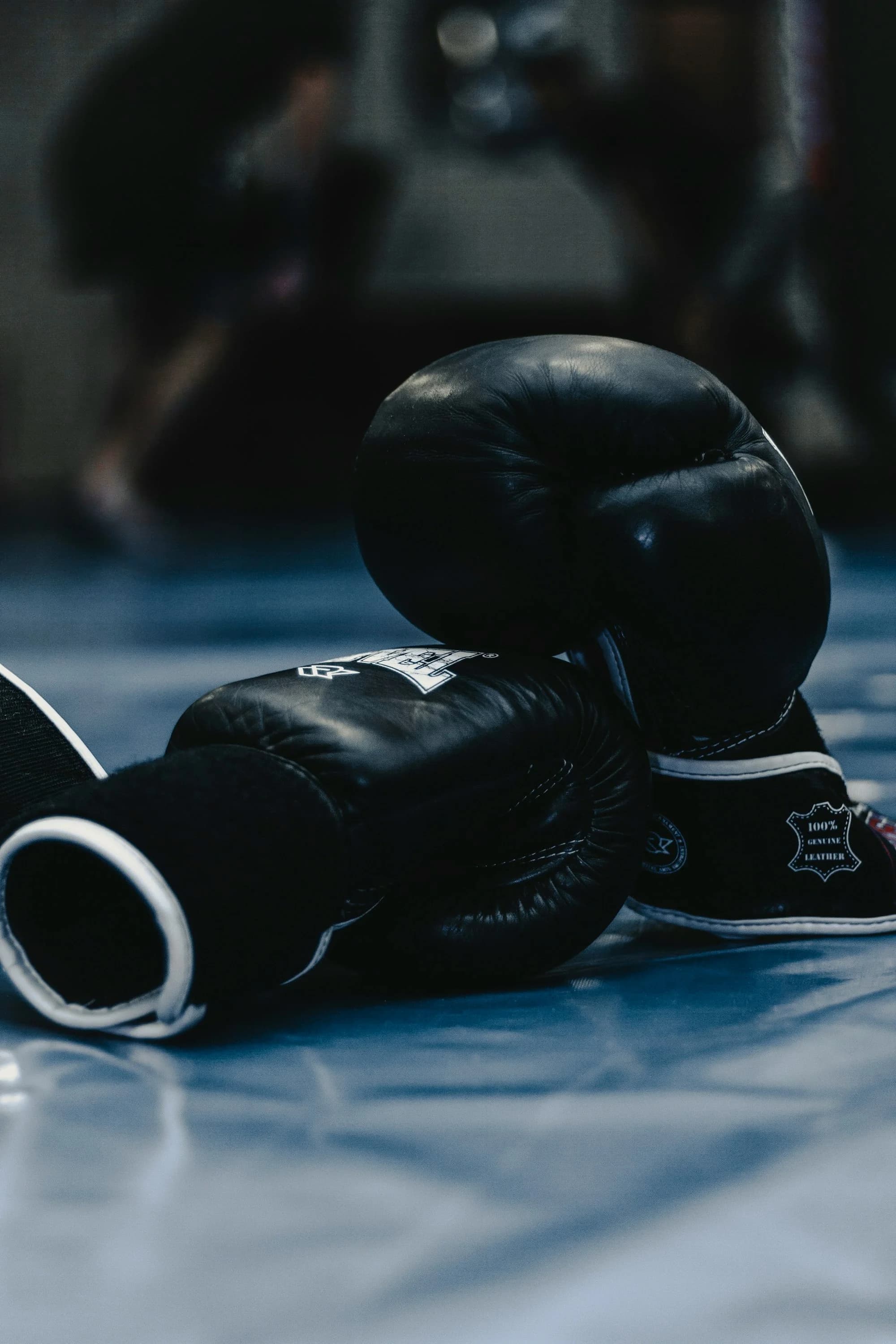 Exterior or interior of Phoenix Boxing