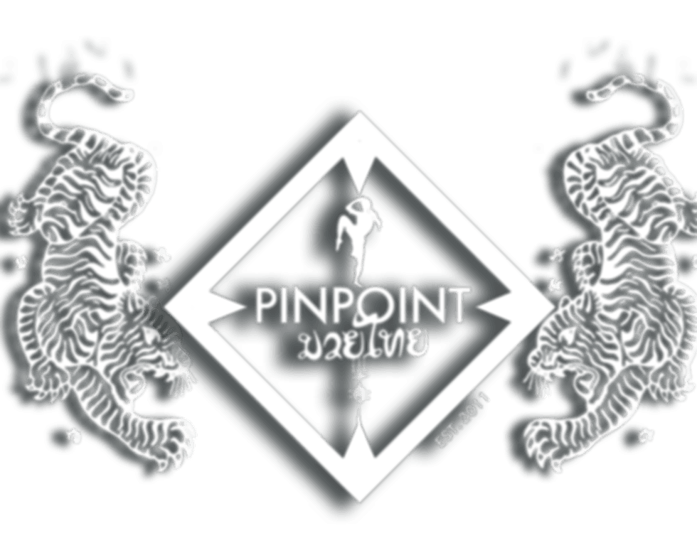 Exterior or interior of PinPoint Muay Thai/MMA and fitness