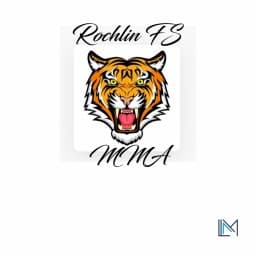 Exterior or interior of Rochlin FS MMA & Fitness