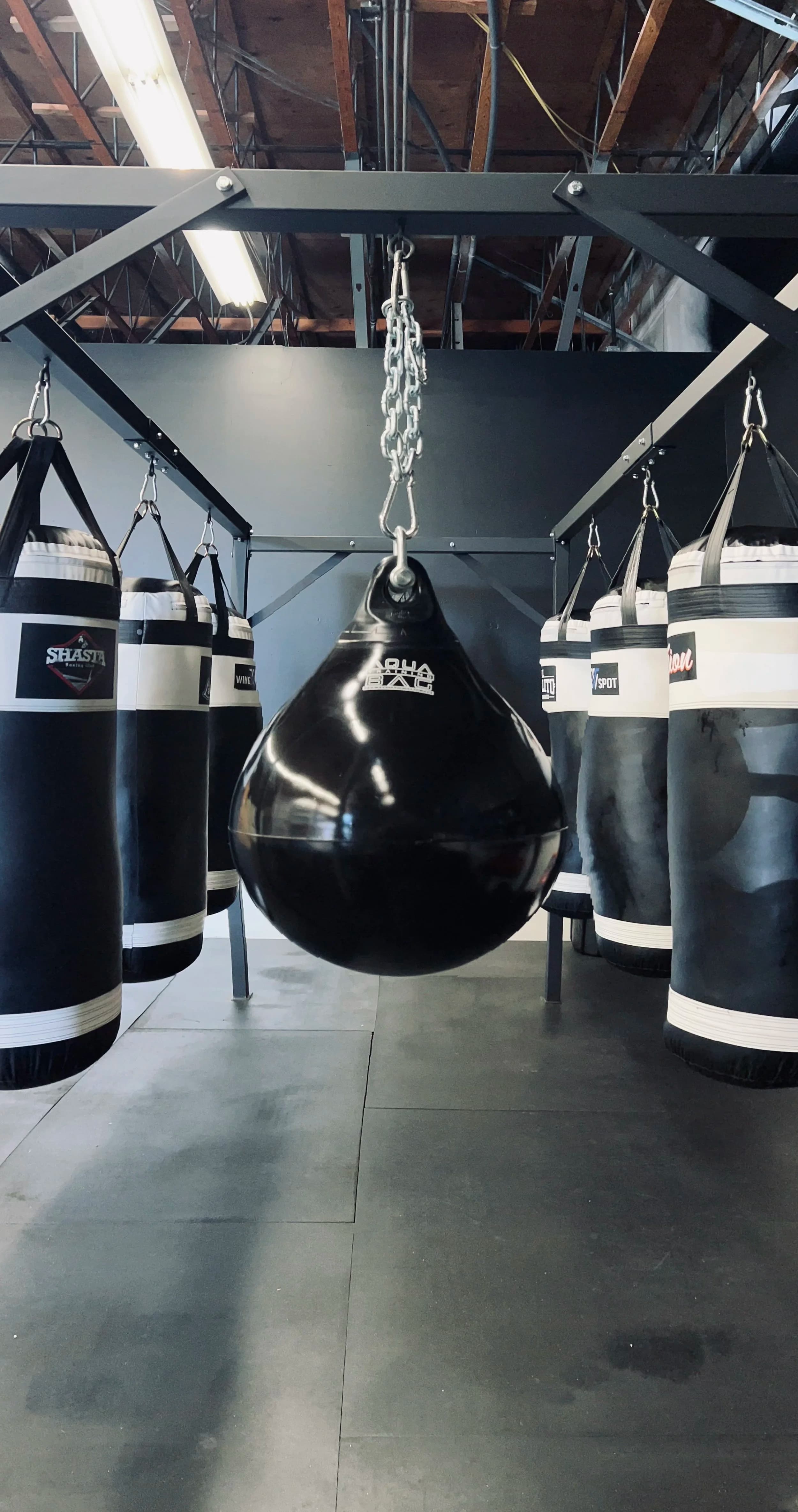Exterior or interior of Shasta Boxing Club