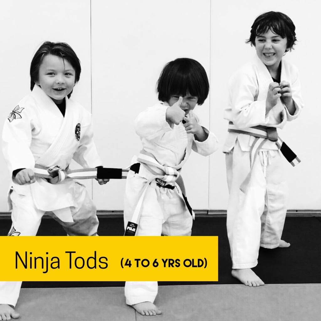 Exterior or interior of Six Blades Jiu Jitsu