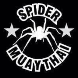 Spider Muay Thai logo