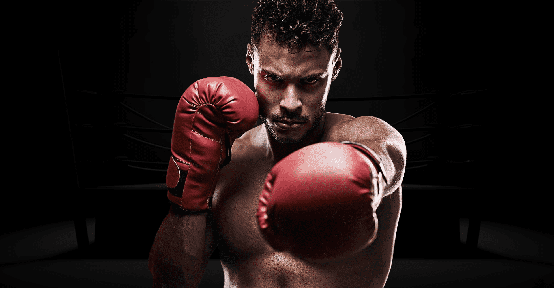 Exterior or interior of Sugar Bert Boxing Academy