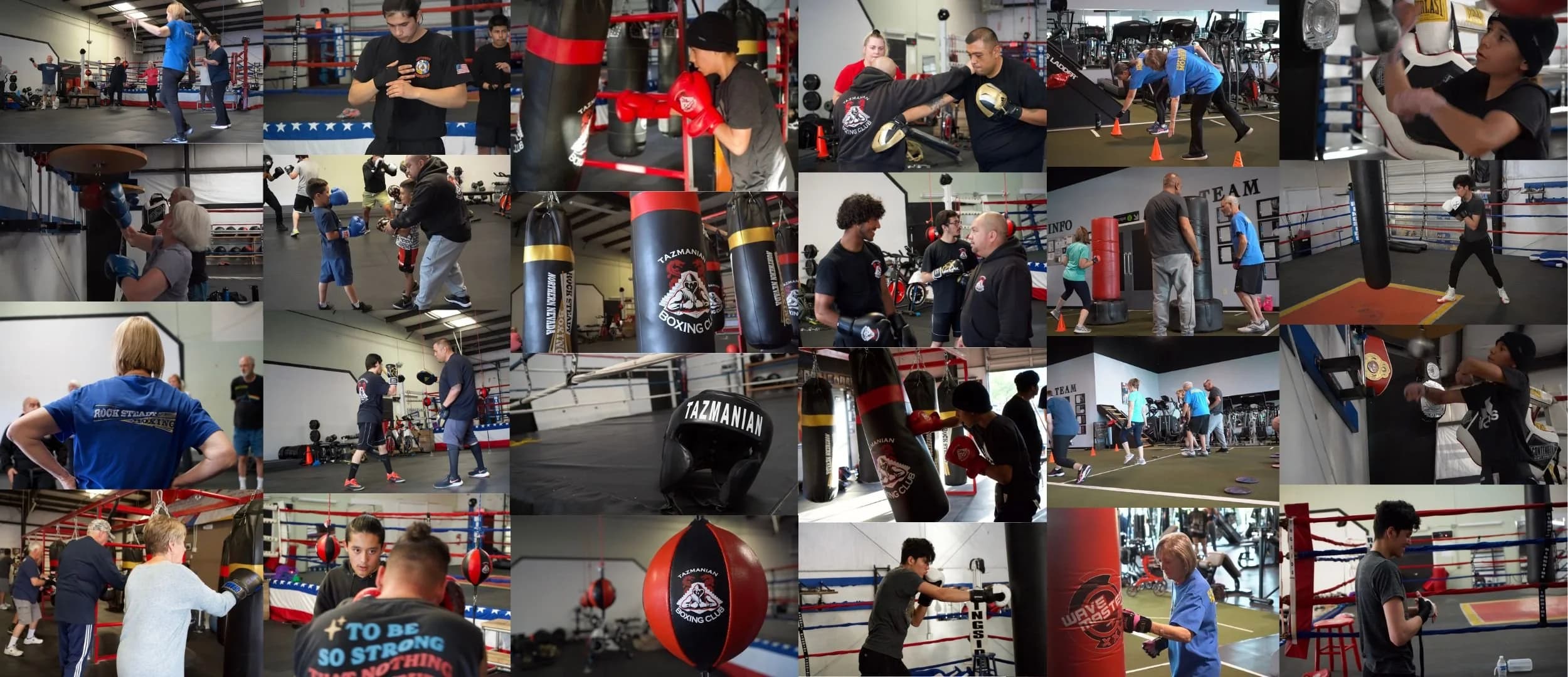 Exterior or interior of Tazmanian Boxing Club