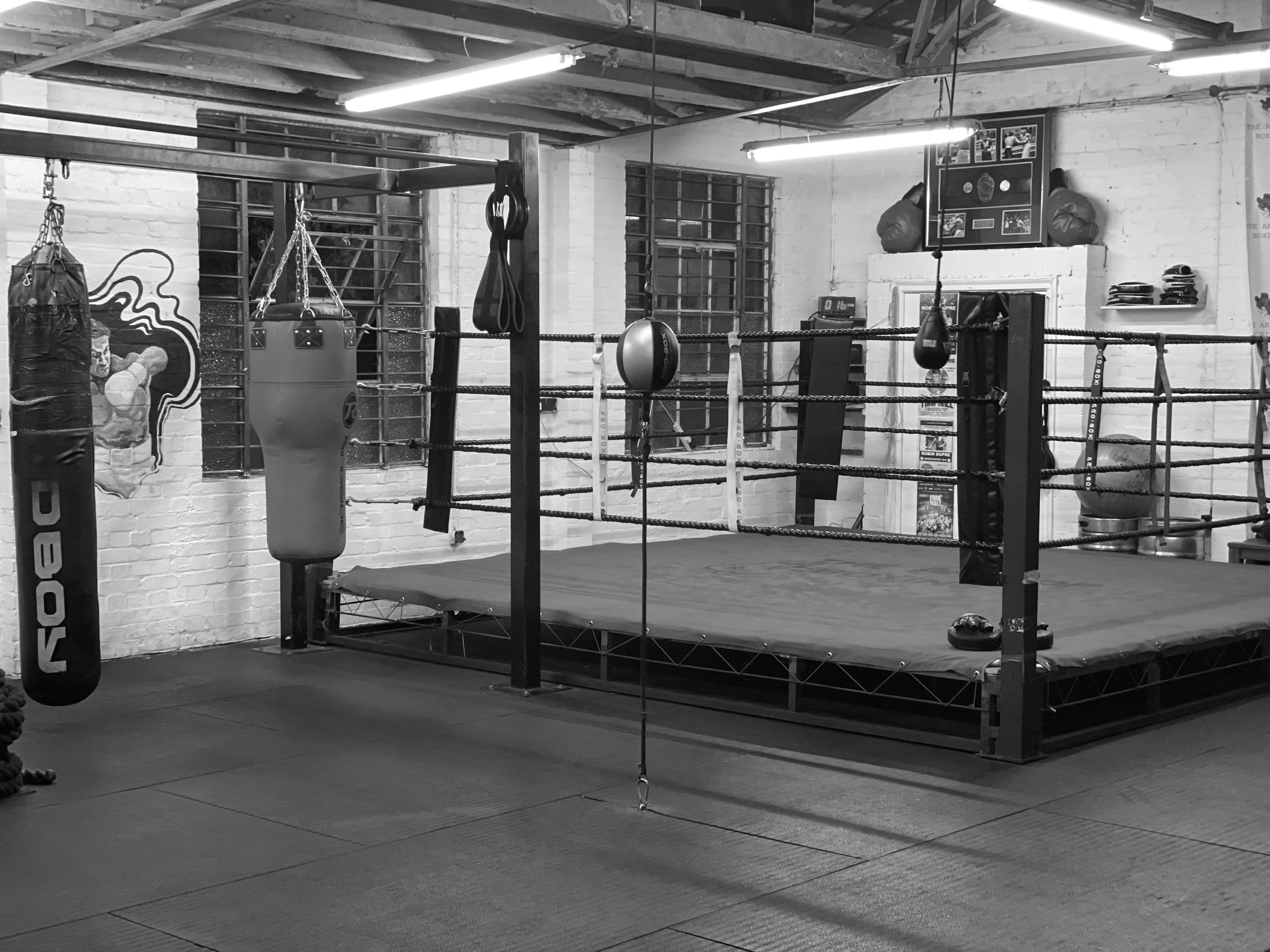 Exterior or interior of The Art of Boxing