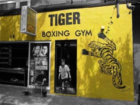 Exterior or interior of Tiger Boxing Gym