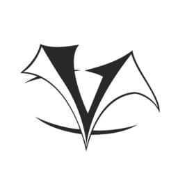 VISION FITNESS & MMA logo