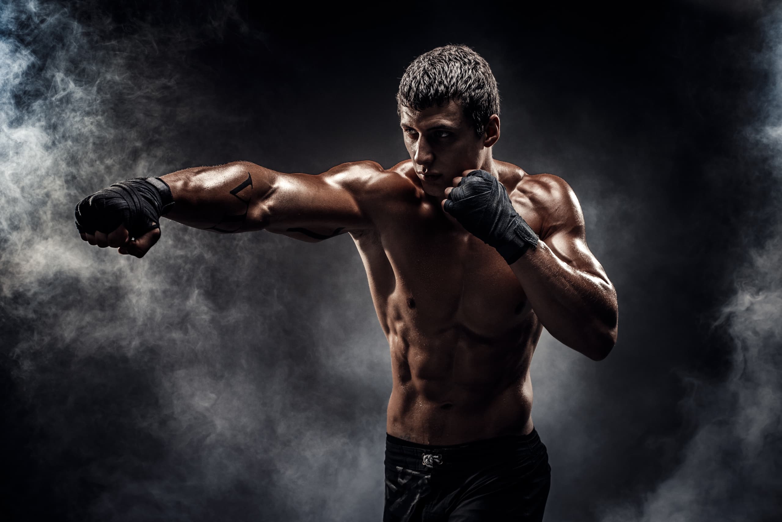Exterior or interior of YANIS Fight Club